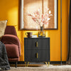 SoBuy FBT115-SCHx2 2-pak sengebord, sengebord med 2 skuffer, Moderne sidebord til soveværelse, Sort B40 x D40 x H47 cm